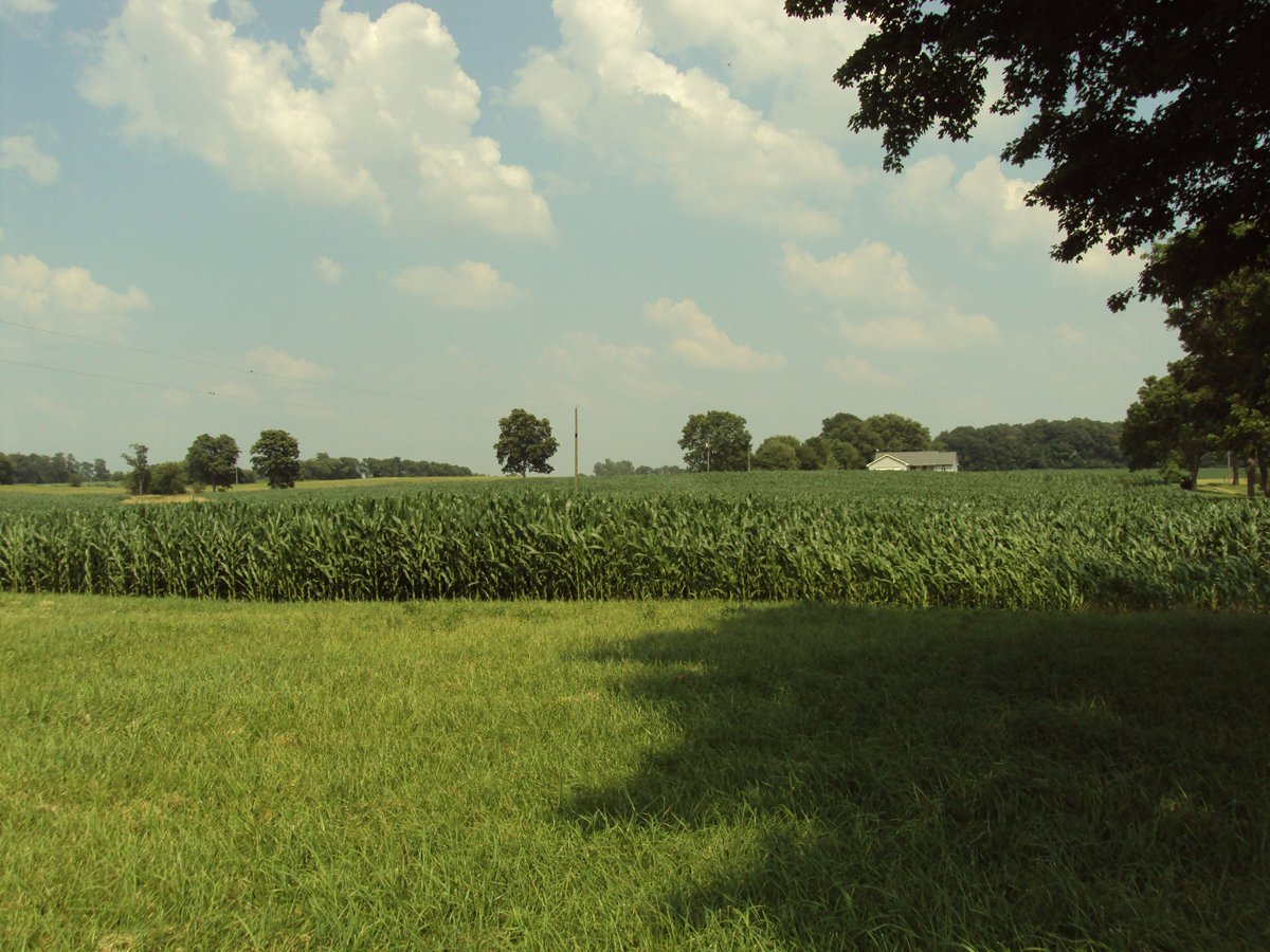 Property photo 35 - 160 Acres Offered in 6 Tracts